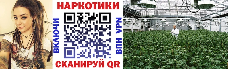 Наркошоп Клинцы omg сайт Марихуана ЭКСТАЗИ Меф Гашиш
