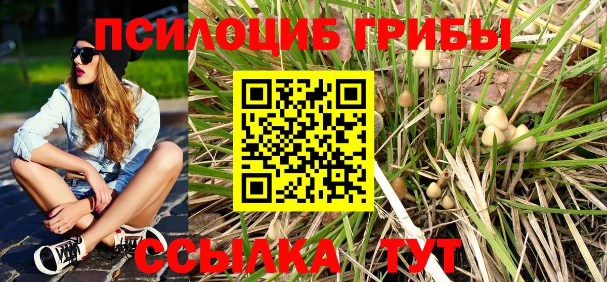 Галлюциногенные грибы ЛСД  Вход с VPN  Клинцы 
