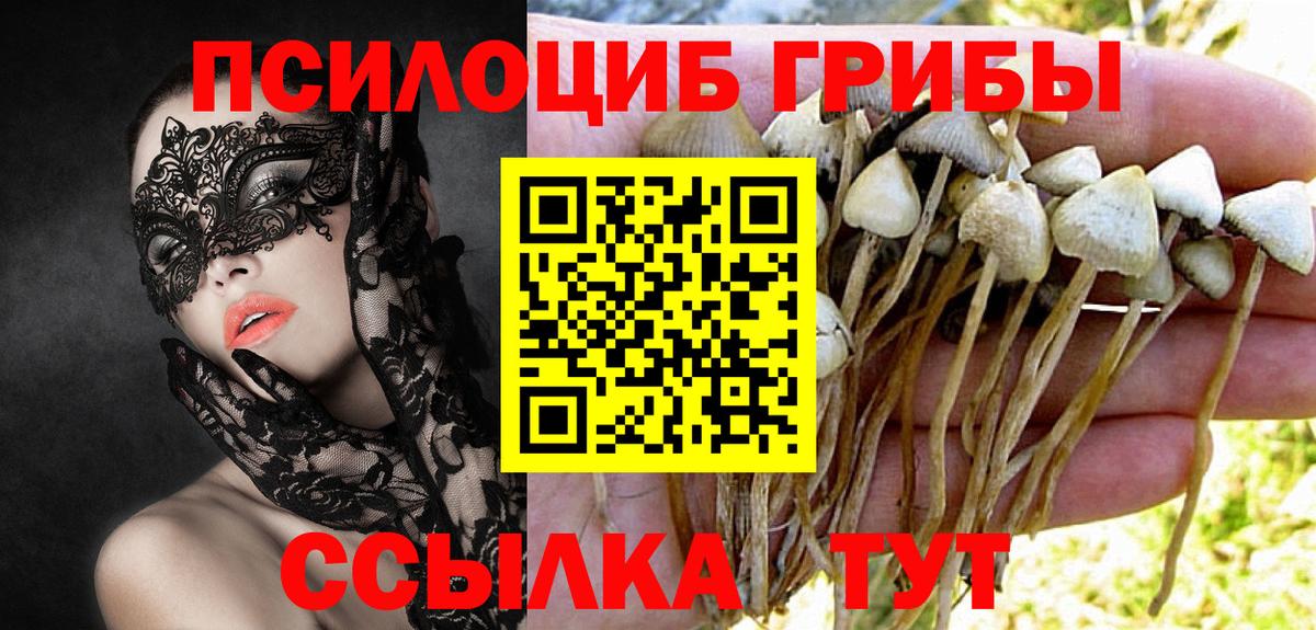 Галлюциногенные грибы мухоморы  Клинцы 