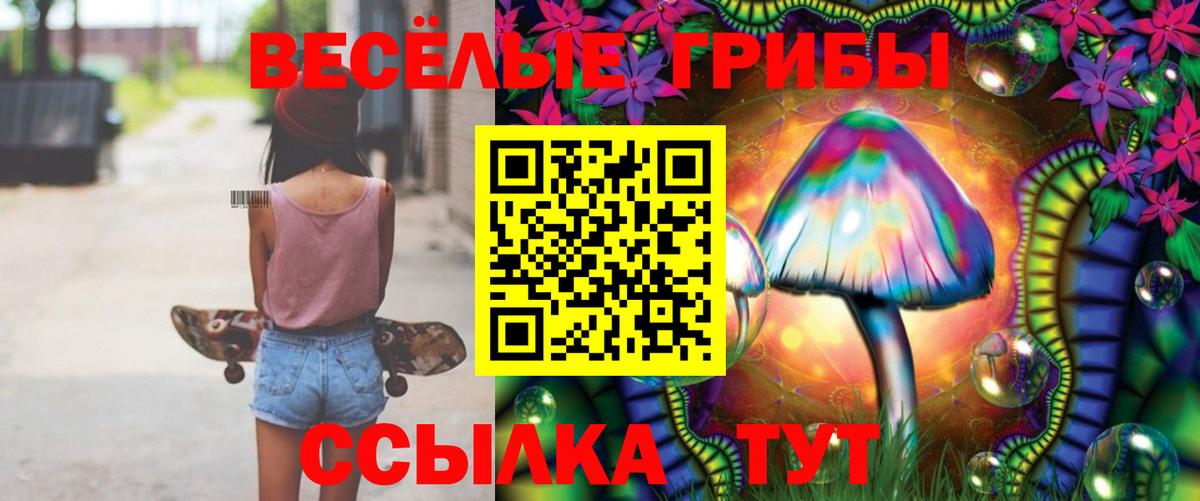 Меф МЯУ МЯУ   Alpha-PVP СК   ГАШ  Клинцы  МДМА  Конопля  Мефедрон  Вход с VPN  ЭКСТАЗИ 