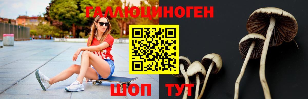 Псилоцибиновые грибы MAGIC MUSHROOMS Клинцы
