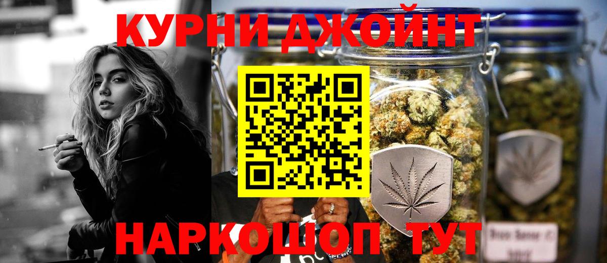 Бошки Шишки план Клинцы